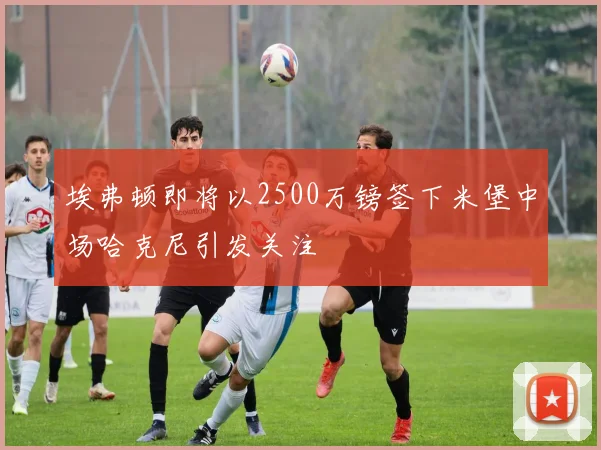 埃弗顿即将以2500万镑签下米堡中场哈克尼引发关注