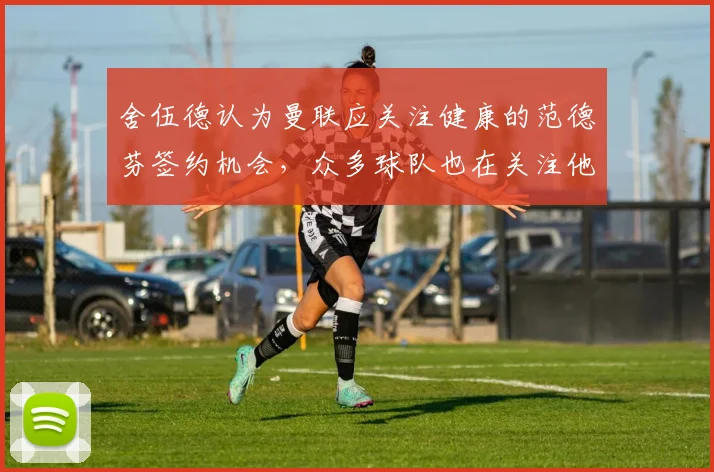 舍伍德认为曼联应关注健康的范德芬签约机会，众多球队也在关注他
